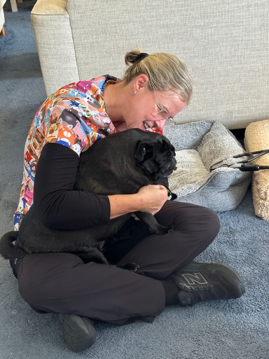 At home vet Yatala visit — the local vet from My Kind of Vet greeting a dog at a Yatala home