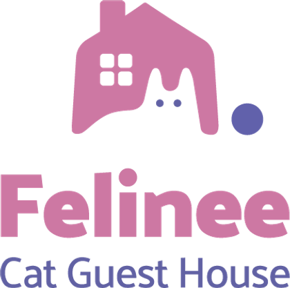 Felinee — Cat Guest House