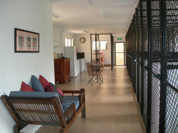 A bright, homely suite corridor at Felinee with timber furniture and natural light
