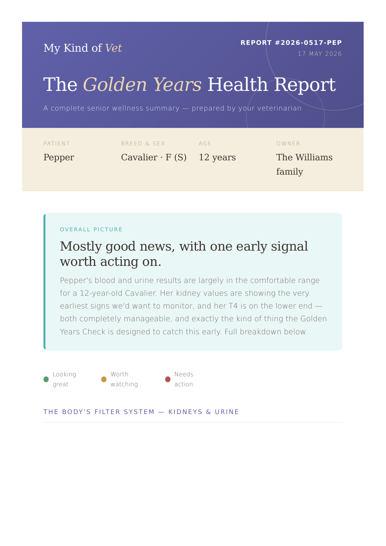 Example of the Golden Years Health Report &mdash; a branded, plain-English senior wellness summary with a traffic-light key