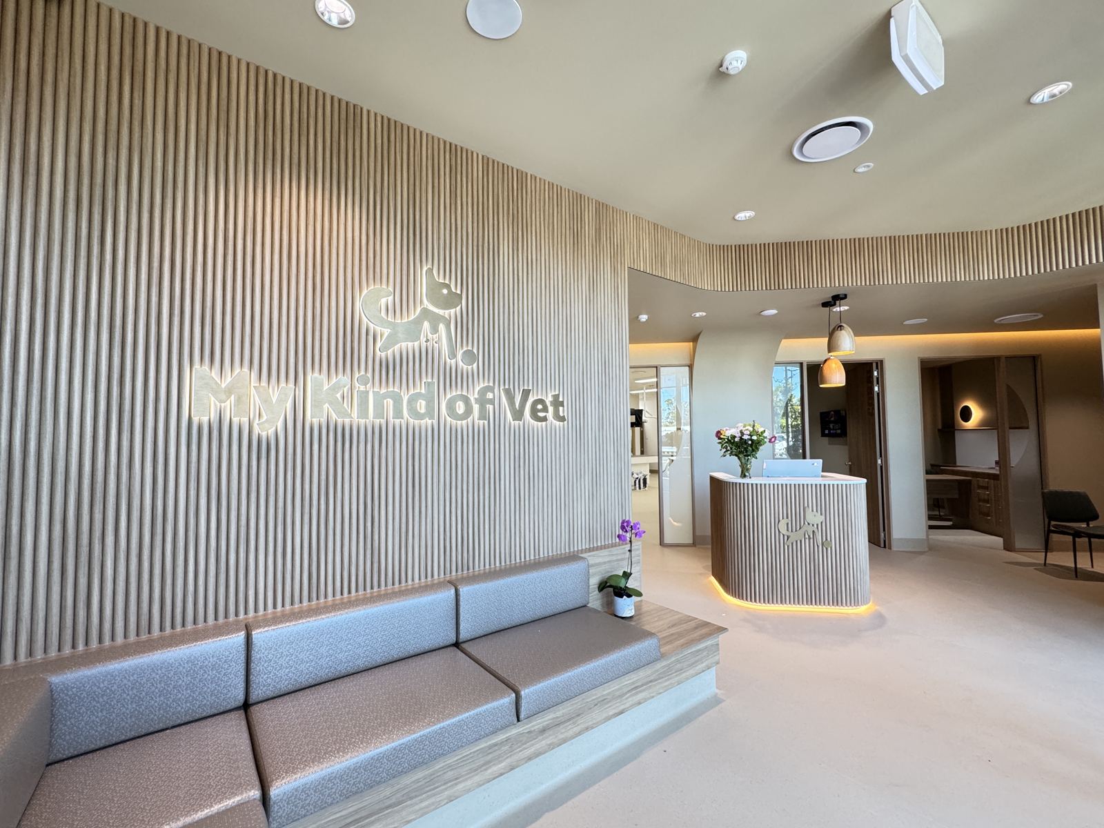 The finished timber reception desk with the My Kind of Vet logo at the purpose-built Ormeau clinic
