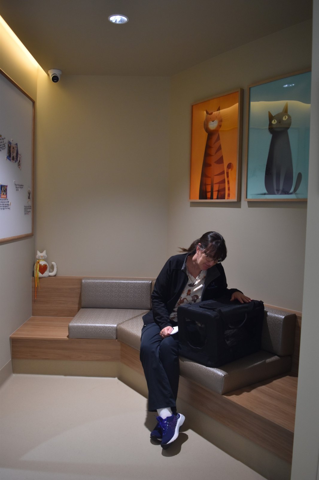 Dedicated cat waiting area, fully separate from dogs, at My Kind of Vet, Ormeau, Gold Coast