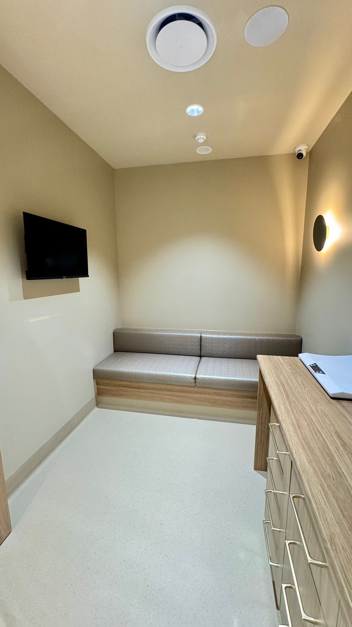 TV playing calming visuals in a consultation room at My Kind of Vet, Ormeau, Gold Coast