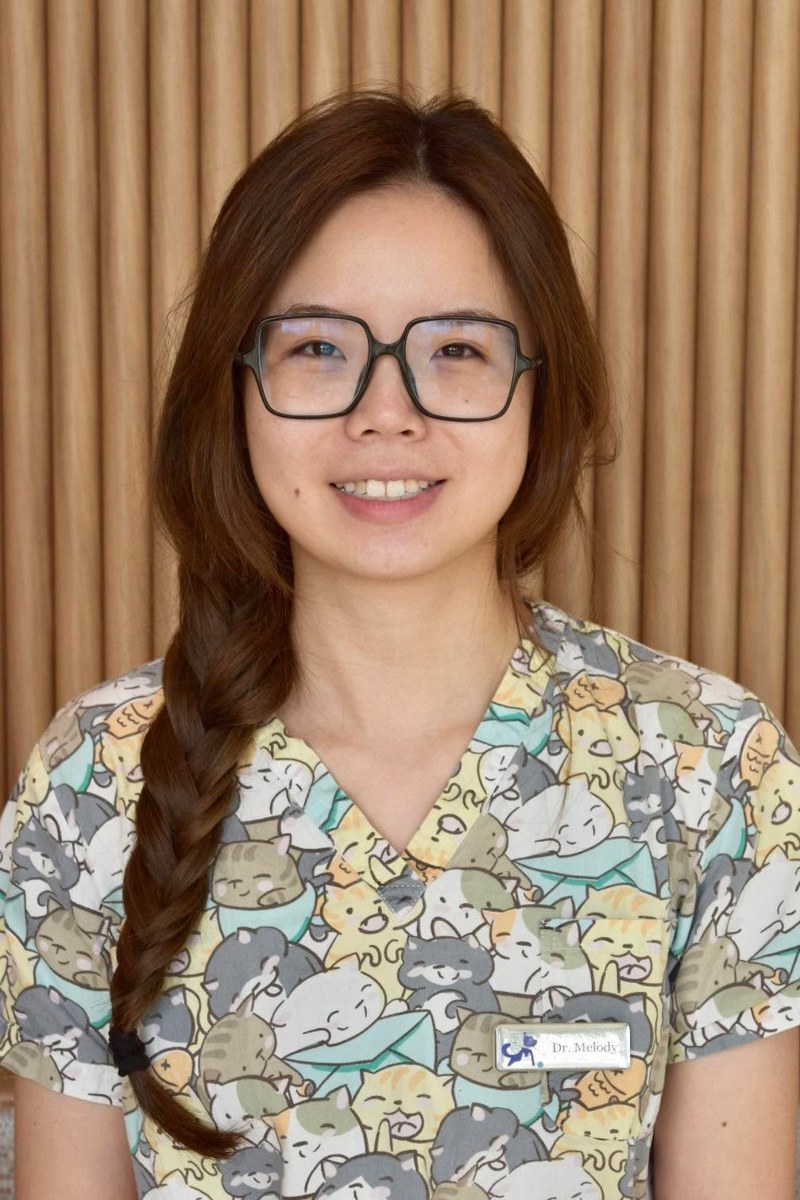 Dr Melody Wang, Veterinarian at My Kind of Vet, Ormeau